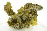 Lustrous Forest-Green Pyromorphite Crystal Cluster - China #242856-1